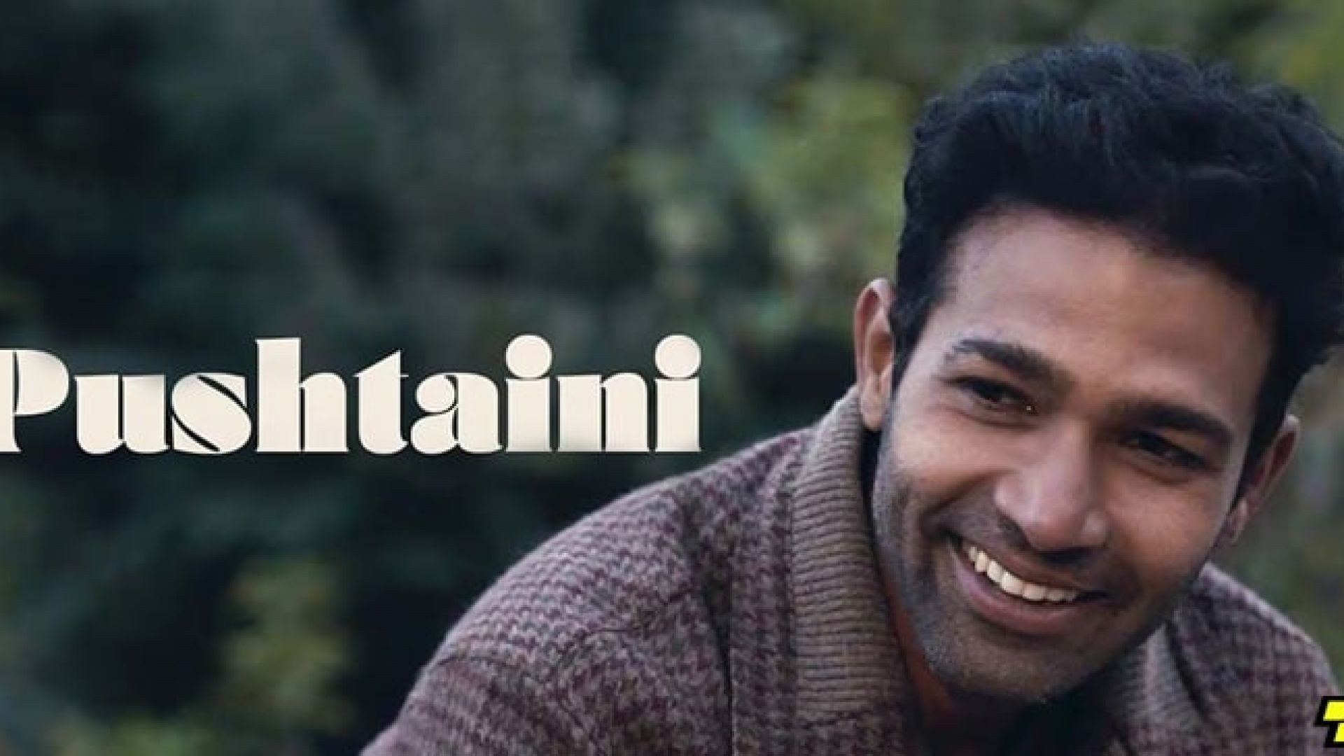 Pushtaini